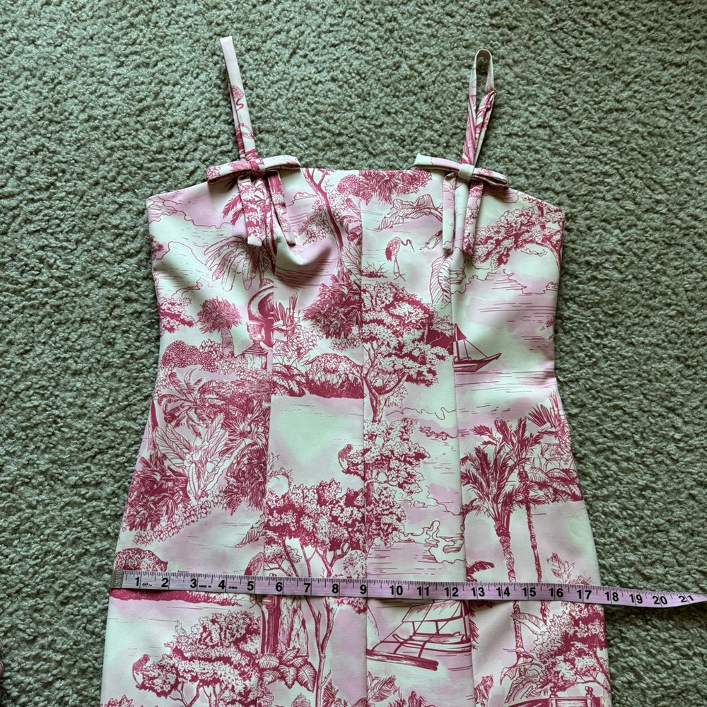 Mestiza New York Calista Midi Dress 10 Pink/Ivory Tropical Toile NWT - Picture 11 of 15